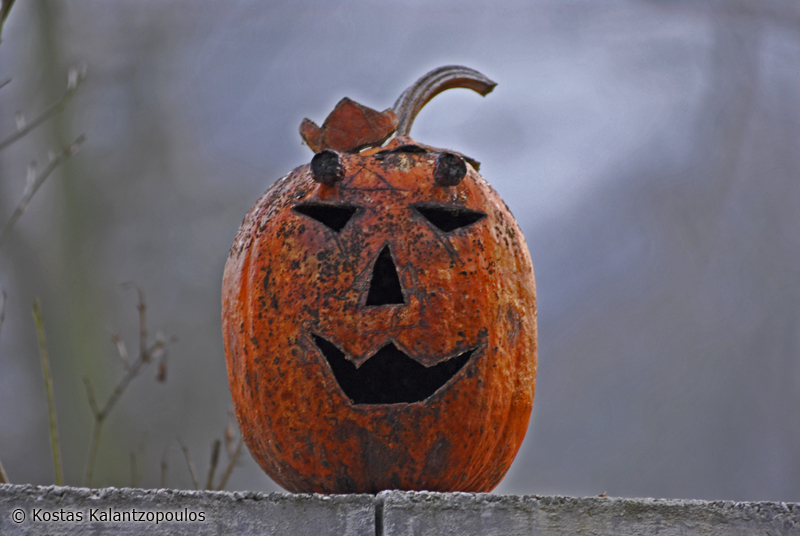 Pumkin