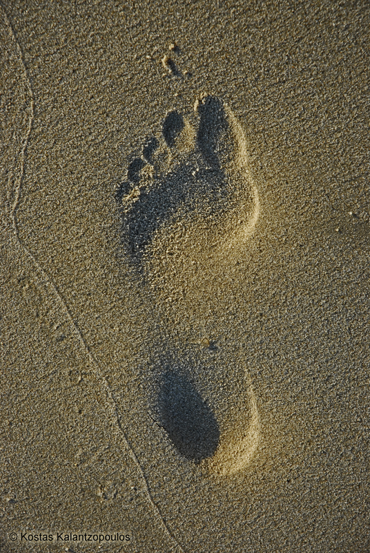 Footprint